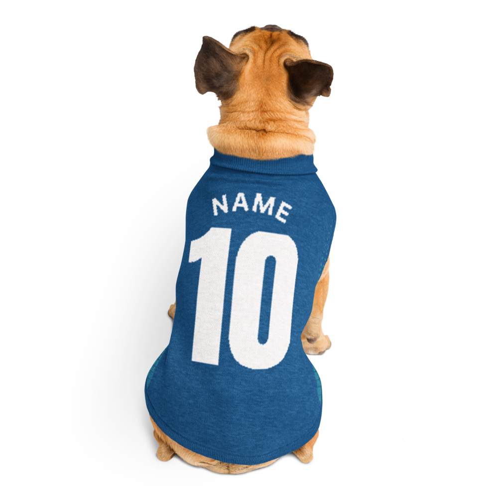 Custom Knitted Pet Sweater – Personalized Name & Number