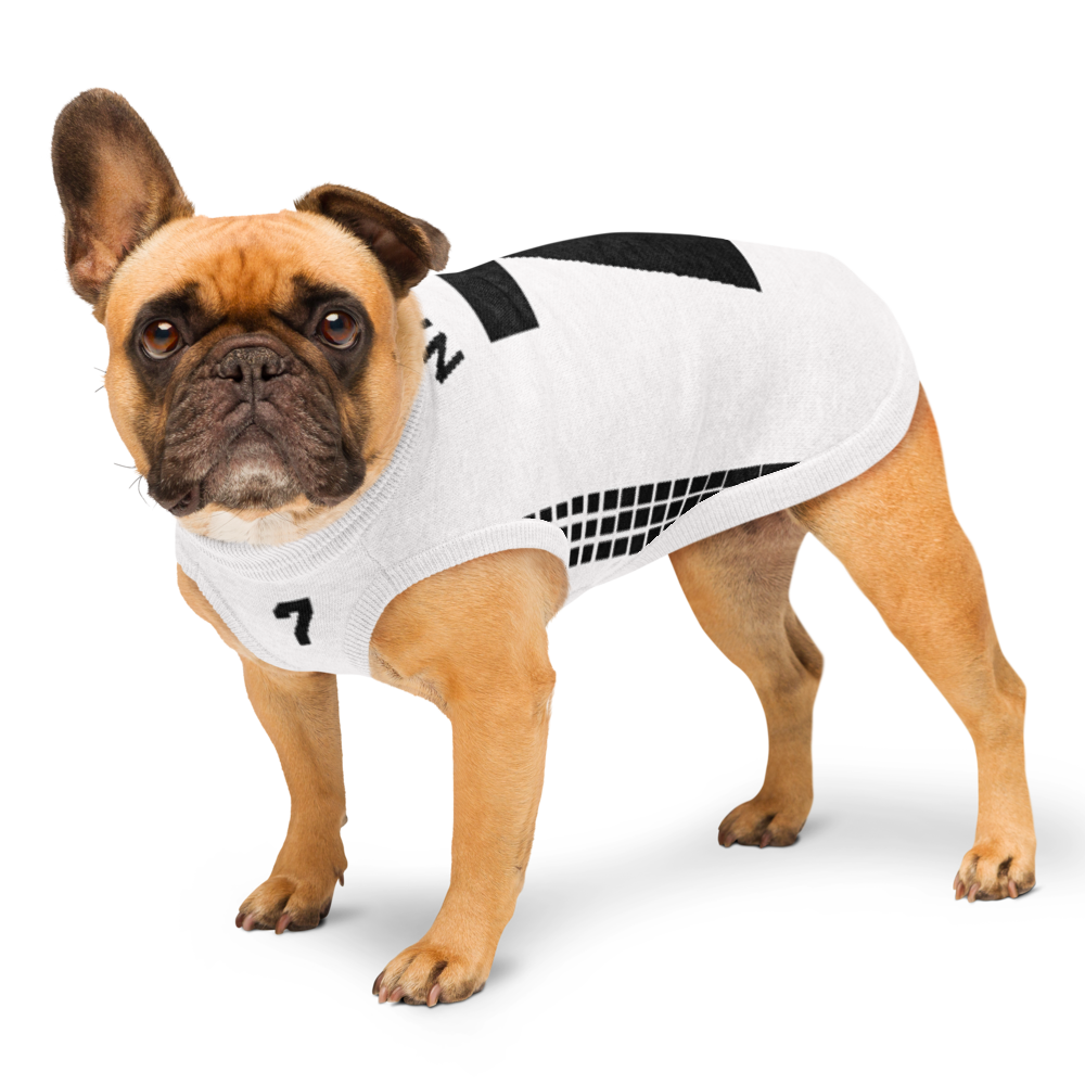 Custom Knitted Pet Sweater – Personalized Name & Number