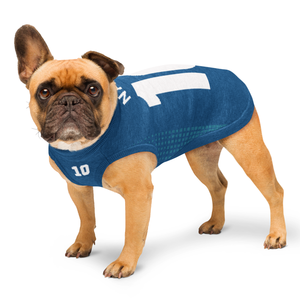 Custom Knitted Pet Sweater – Personalized Name & Number