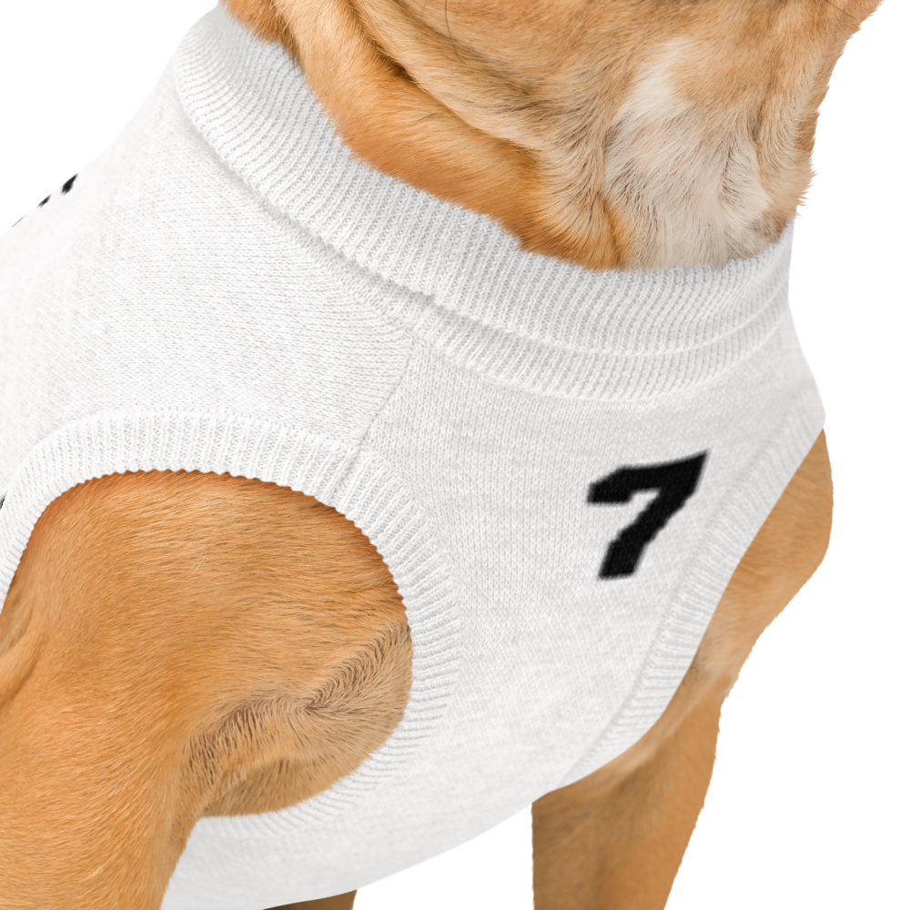 Custom Knitted Pet Sweater – Personalized Name & Number