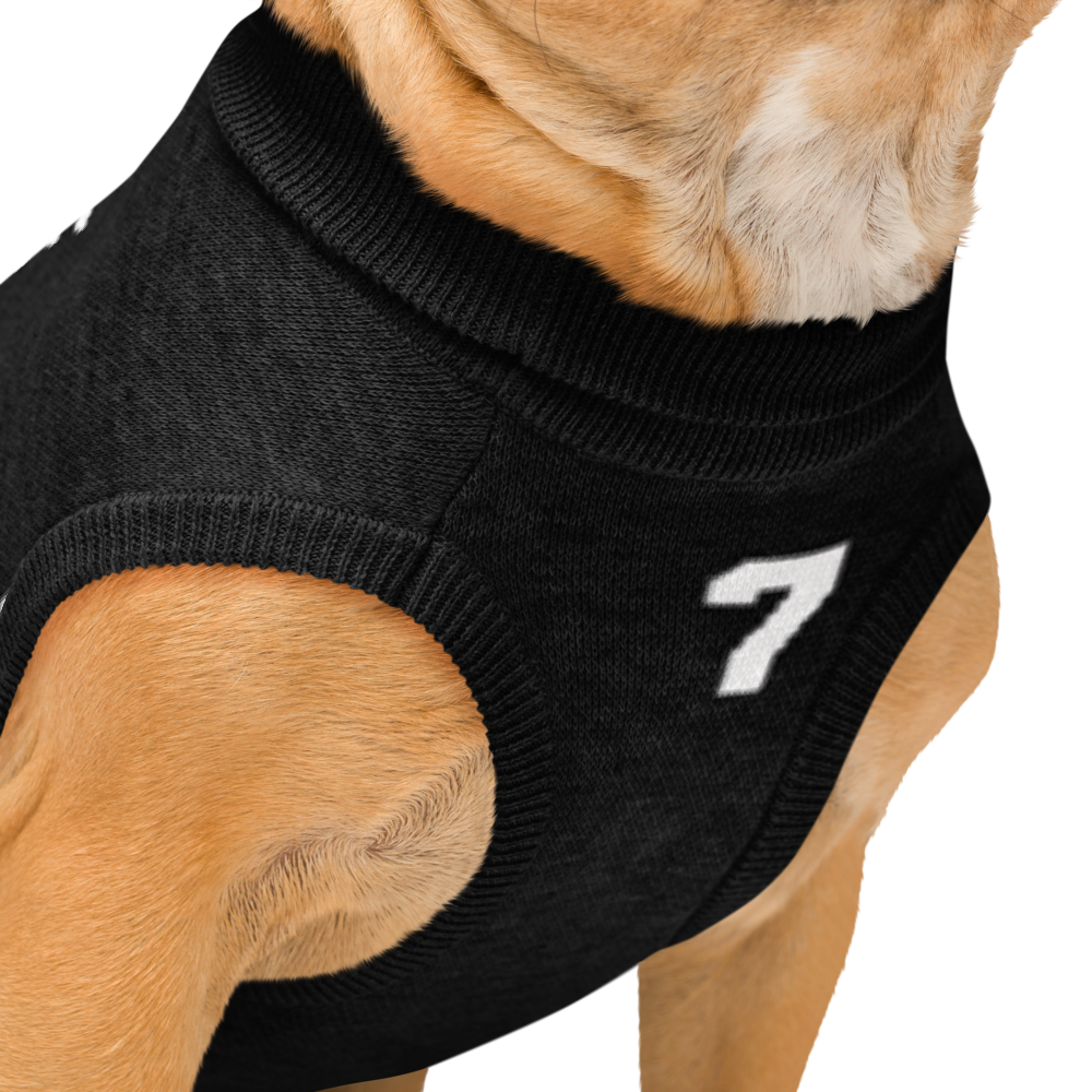 Custom Knitted Pet Sweater – Personalized Name & Number