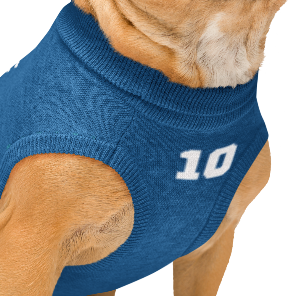 Custom Knitted Pet Sweater – Personalized Name & Number