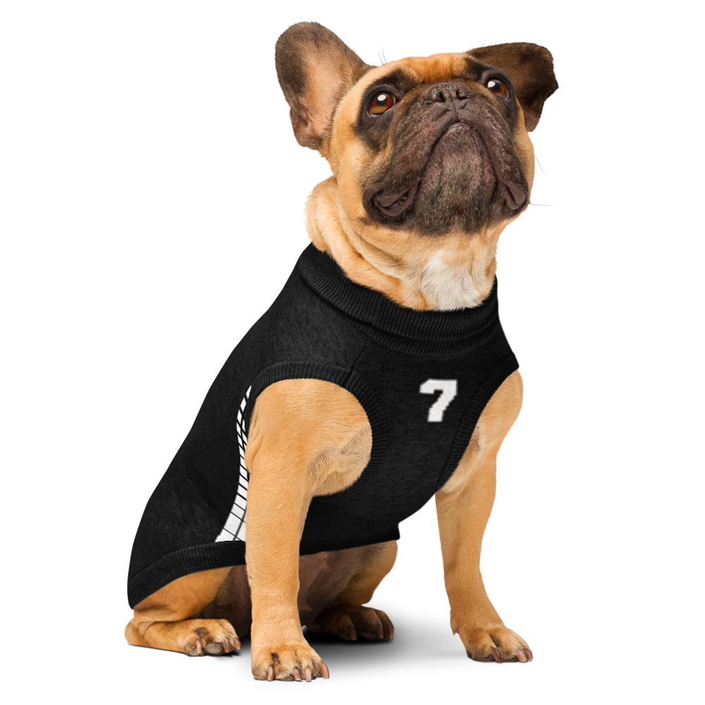 Custom Knitted Pet Sweater – Personalized Name & Number