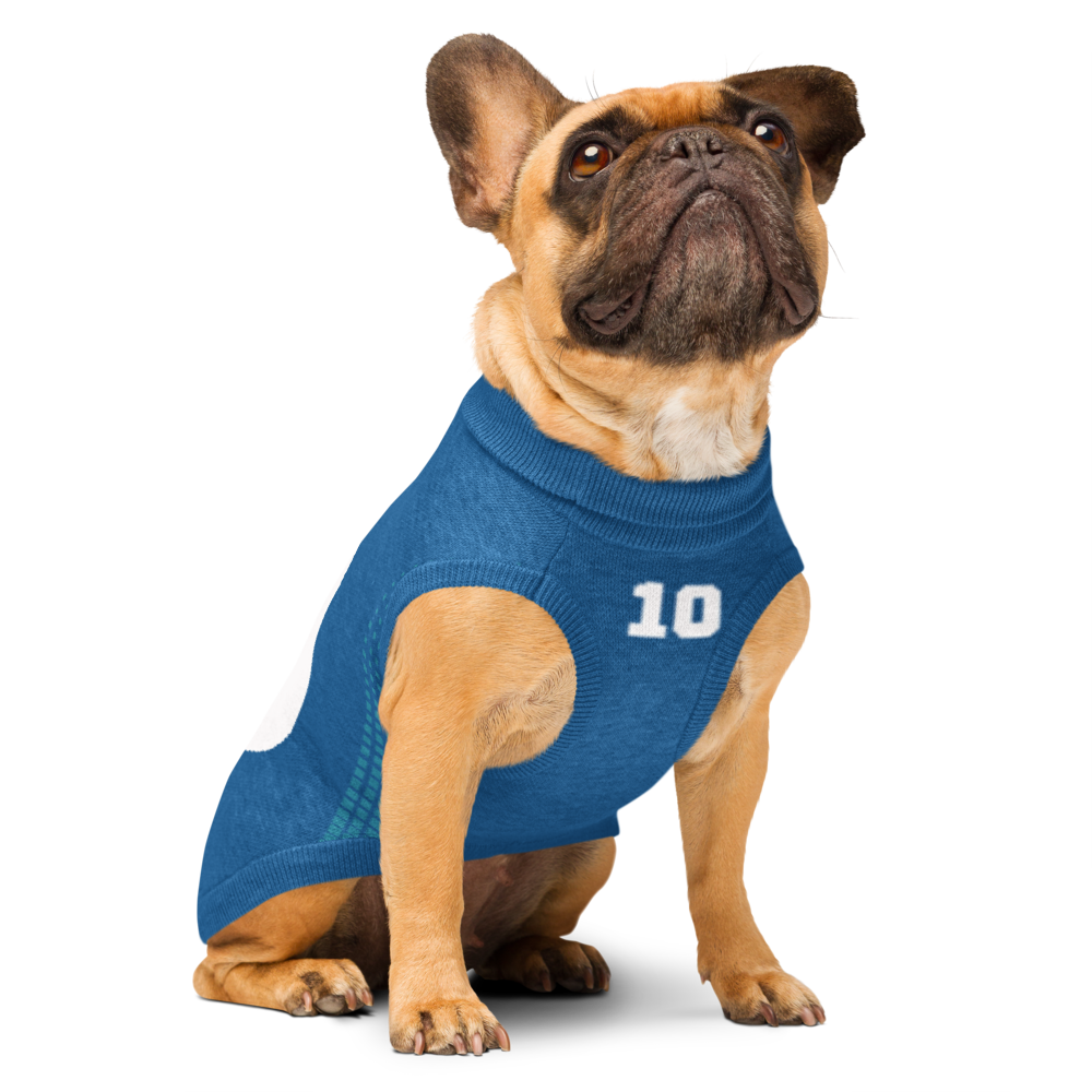 Custom Knitted Pet Sweater – Personalized Name & Number